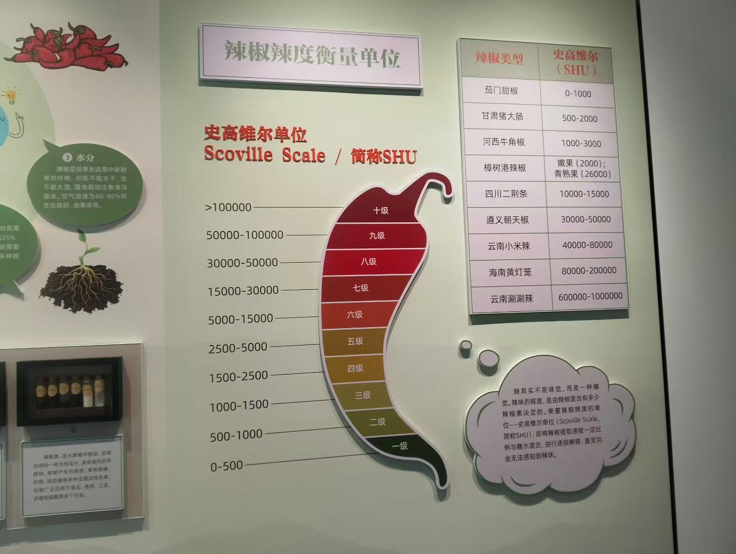 中国樟树港辣椒科普馆